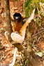 Madagascar -  DSC00173